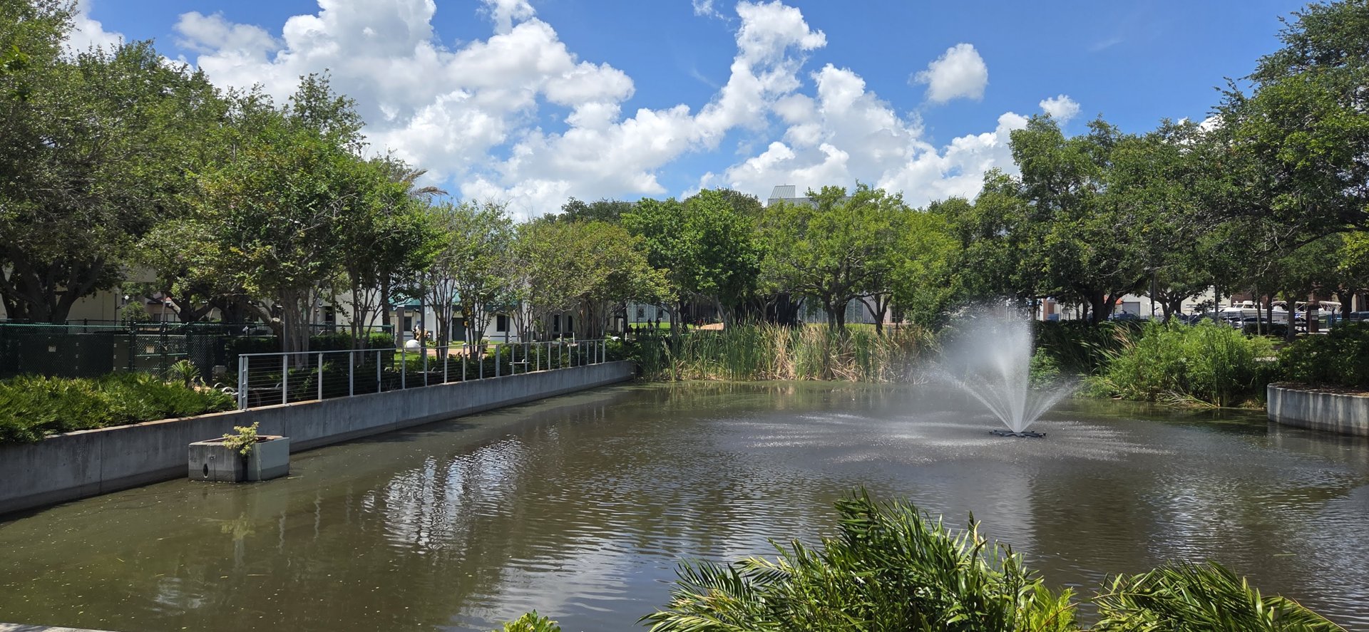 The University of South Florida campus USF campus
