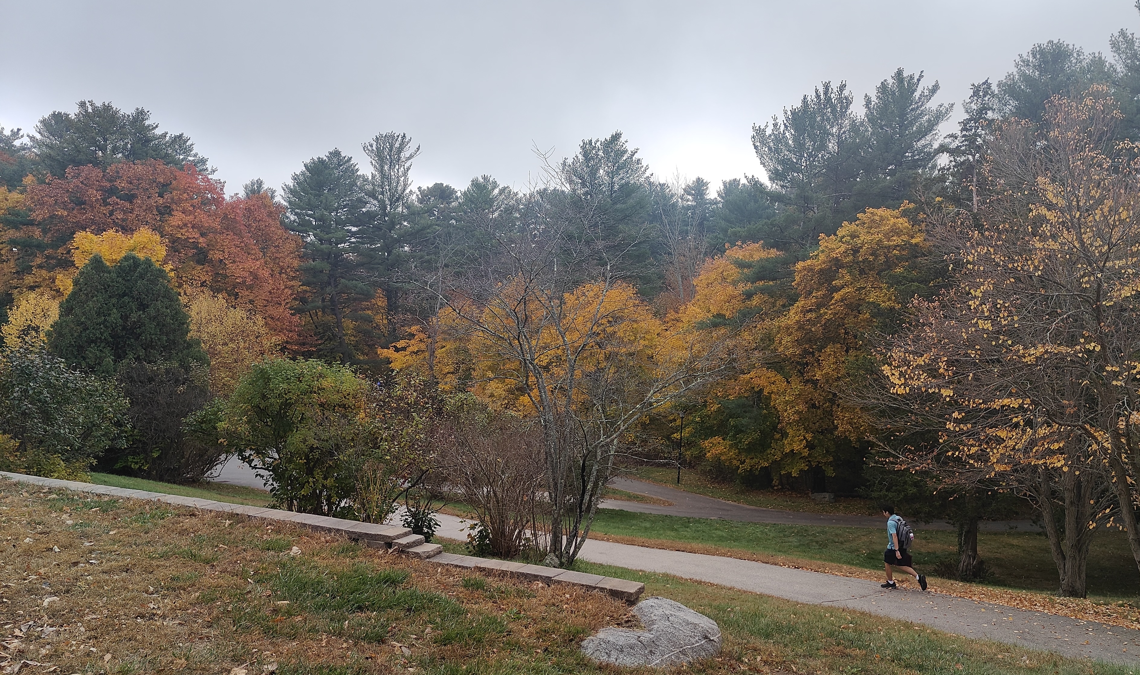 UNH's campus